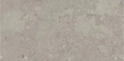 Плитка керамогранітна Freedust Taupe RECT MAT 598x1198x8 Paradyz