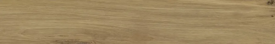 Плитка керамогранітна Specialwood Honey RECT STR 198x1198x8 Paradyz
