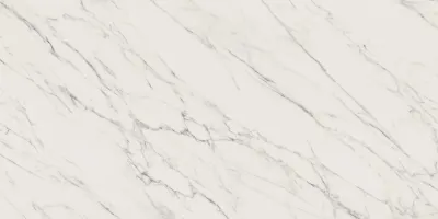 Плитка керамогранітна Elite White RECT POL 598x1198 Paradyz