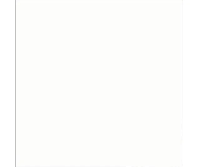 Плитка керамогранітна Super White POL 600x600 Raviraj