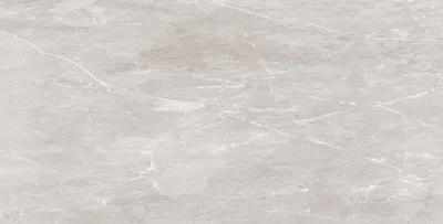 Плитка керамогранітна Neolith GRY POL 600x1200 Raviraj