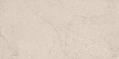 Плитка керамогранітна Holiday Sandstone STR MAT 598x1198 Tubadzin