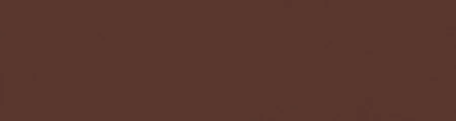 Плитка фасадна Natural Brown 65x240x7,4 Paradyz