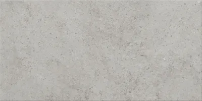 Плитка керамогранітна HIGHBROOK LIGHT GREY 298х598x8 Cersanit