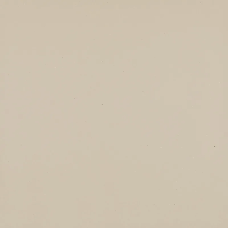 Плитка підлогова Modernizm Bianco RECT MAT 59,8x59,8 Ceramika Paradyz