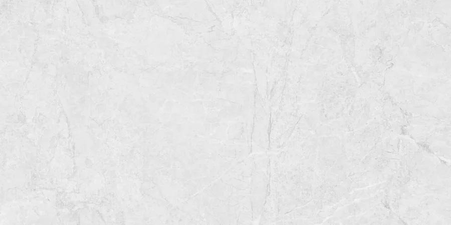 Плитка керамогранітна Harbor Light Grey RECT MAT 598x1198 Cersanit
