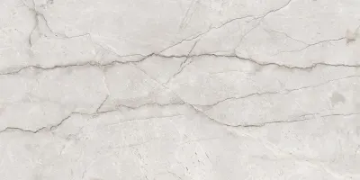 Плитка керамогранітна Monalisa Grey POL 600x1200 Raviraj