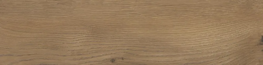 Плитка керамогранітна Taiga Brown MAT 155x620x8 StarGres