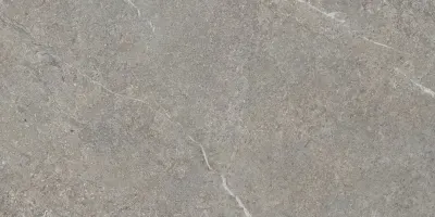 Плитка керамогранітна Misty Rock Grey SZKL RECT MAT 598x1198x8 Paradyz