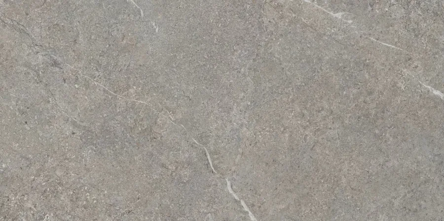 Плитка керамогранітна Misty Rock Grey SZKL RECT MAT 598x1198x8 Paradyz