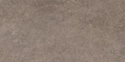 Плитка керамогранітна Urban Champagne Naturale SZKL RECT STR MAT 598x1198x8 Paradyz