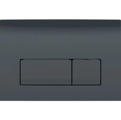 Кнопка зливу Delta50 115.119.DW.1 чорний Geberit