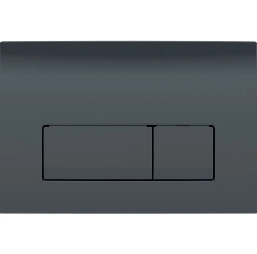 Кнопка зливу Delta50 115.119.DW.1 чорний Geberit