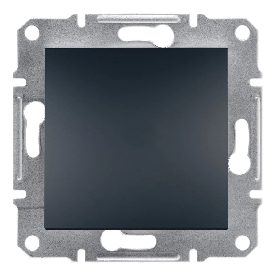 Заглушка Антрацит ASFORA (EPH5600171), Schneider Electric