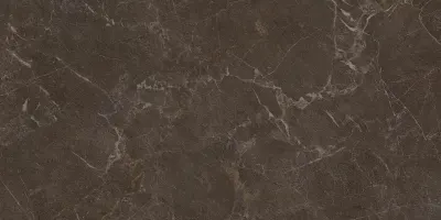 Плитка керамогранітна Eloria Brown SZKL RECT STR MAT 598x1198 Paradyz