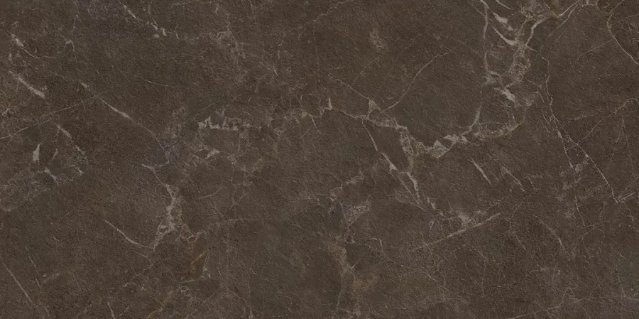 Плитка керамогранітна Eloria Brown SZKL RECT STR MAT 598x1198 Paradyz