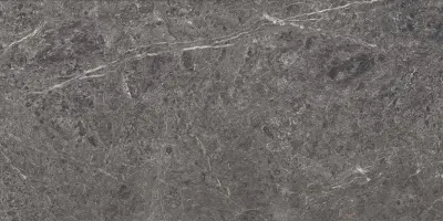 Плитка керамогранітна Lumeya Graphite SZKL RECT STR BRUSH MAT 598x1198 Paradyz