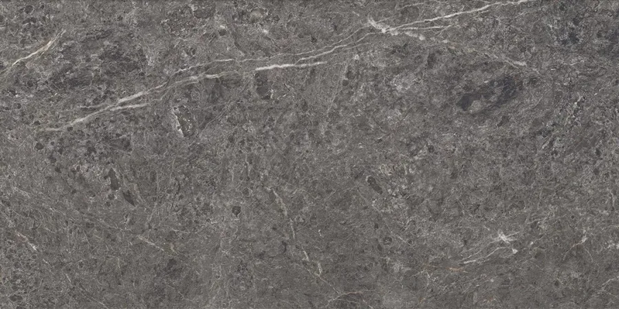 Плитка керамогранітна Lumeya Graphite SZKL RECT STR BRUSH MAT 598x1198 Paradyz