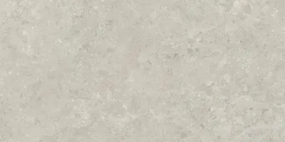 Плитка керамогранітна Sedina Grey SZKL RECT MAT 598x1198 Paradyz