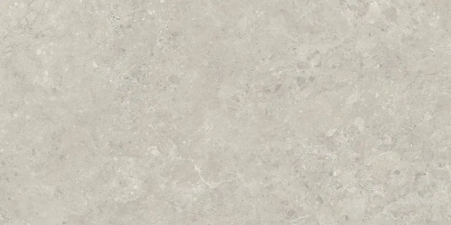 Плитка керамогранітна Sedina Grey SZKL RECT MAT 598x1198 Paradyz