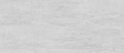 Плитка керамогранітна Dignity Light Grey RECT 597x1197x8 Cerrad