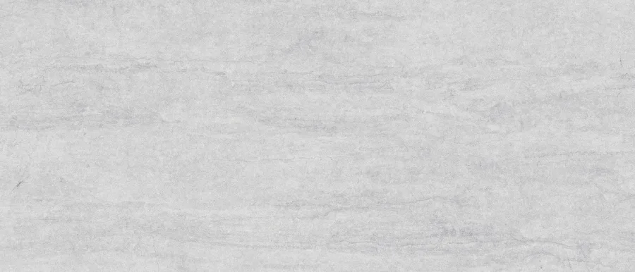 Плитка керамогранітна Dignity Light Grey RECT 597x1197x8 Cerrad
