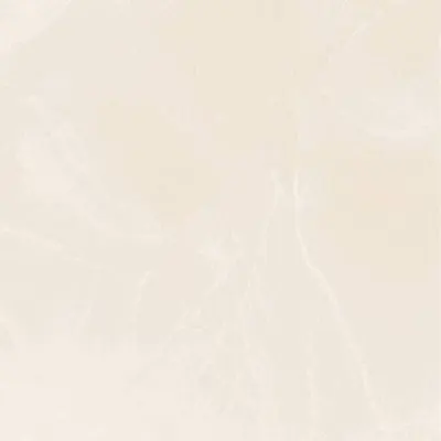 Плитка керамогранітна Nube Onyx POL 600x600 Raviraj