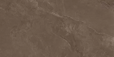 Плитка керамогранітна Coffee Field Brown SZKL RECT MAT 598x1198x8 Paradyz