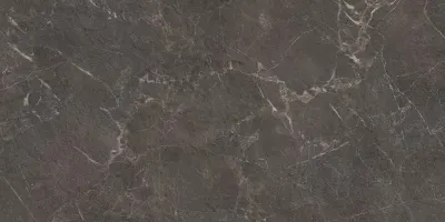 Плитка керамогранітна Eloria Anthracite SZKL RECT STR MAT 598x1198 Paradyz